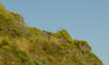 DSC00610_web.jpg (163575 bytes)