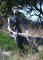 PIC_0038_web.jpg (226293 bytes)