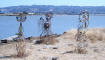 PIC_0041_web.jpg (268298 bytes)