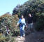 PIC_0028_web.jpg (261186 bytes)