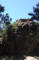 DSCF4556_web.jpg (59514 bytes)