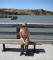 calif0808_benicia_pier_IMG_1056_web.jpg (144671 bytes)