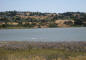 calif0808_benicia_state_park_IMG_1050_web.jpg (167559 bytes)