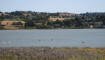 calif0808_benicia_state_park_IMG_1051_web.jpg (129802 bytes)