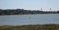 calif0808_benicia_state_park_IMG_1052_web.jpg (152350 bytes)