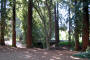 calif0808_uc_campus_02_IMG_0994_web.jpg (191896 bytes)