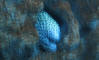 IMG_2085_web.jpg (105941 bytes)