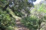 IMG_1126_web.jpg (398737 bytes)