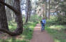 IMG_1345_web.jpg (346531 bytes)