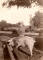 PIC0036_cropped_web.jpg (92925 bytes)