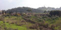 DSC01004_Florence_Boboli_Gardens_web.jpg (155334 bytes)