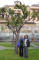 DSC01171_Rome_Tangerine_Tree_Linda, Steve_web.jpg (213631 bytes)
