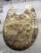 DSC01213_Rome_Vatican_Museum_Etruscan_Breastplate_web.jpg (234115 bytes)