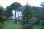 DSC01217_Rome_Vatican_Gardens_web.jpg (230664 bytes)