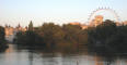 IMG_1211_web.jpg (157788 bytes)