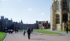 P1010138_web.jpg (156577 bytes)