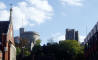 P1010168_web.jpg (102413 bytes)