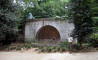 IMG_2999_web.jpg (287584 bytes)