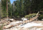200709_michael_lidian_yosemite_182_web.jpg (265424 bytes)