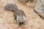 200709_michael_lidian_yosemite_194_web.jpg (243485 bytes)