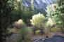 200709_michael_lidian_yosemite_296_web.jpg (298123 bytes)