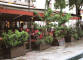paris0705_258_cafe_san_antonio_web.jpg (177992 bytes)