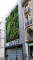 paris0705_259_wall_of_plants_web.jpg (118139 bytes)