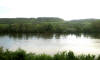 paris0705_265_monets_garden_trip_web.jpg (82387 bytes)