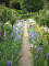 paris0705_277_monets_garden_trip_web.jpg (191275 bytes)