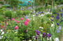 paris0705_281_monets_garden_trip_web.jpg (244948 bytes)