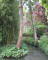 paris0705_285_monets_garden_trip_web.jpg (218452 bytes)