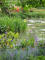 paris0705_290_monets_garden_trip_web.jpg (246886 bytes)