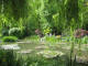 paris0705_298_monets_garden_trip_web.jpg (276691 bytes)