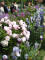 paris0705_302_monets_garden_trip_web.jpg (185081 bytes)
