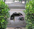paris0705_358_p_lechaise_bernhardt_web.jpg (174330 bytes)