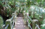 bremner_bremner_puerto_rico_2009_252_web.jpg (263190 bytes)