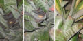 Puerto Rico 305-09-17_web.jpg (121822 bytes)