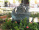 IMG_1356_web.jpg (227339 bytes)