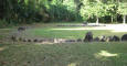 IMG_1527_web.jpg (203319 bytes)