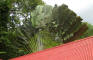 IMG_1547_web.jpg (180013 bytes)