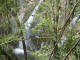 IMG_1558_web.jpg (181293 bytes)
