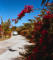 197603_st_barth_009_web.jpg (176512 bytes)