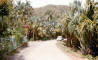 197603_st_barth_027_web.jpg (253669 bytes)