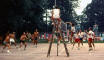 Volleyball 01_web.jpg (137364 bytes)