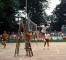 Volleyball 04_web.jpg (119549 bytes)