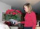 200912_xmas_IMG_2184_web.jpg (151664 bytes)